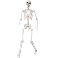 5.4Ft Life Size Skeleton with Movable Joints N672