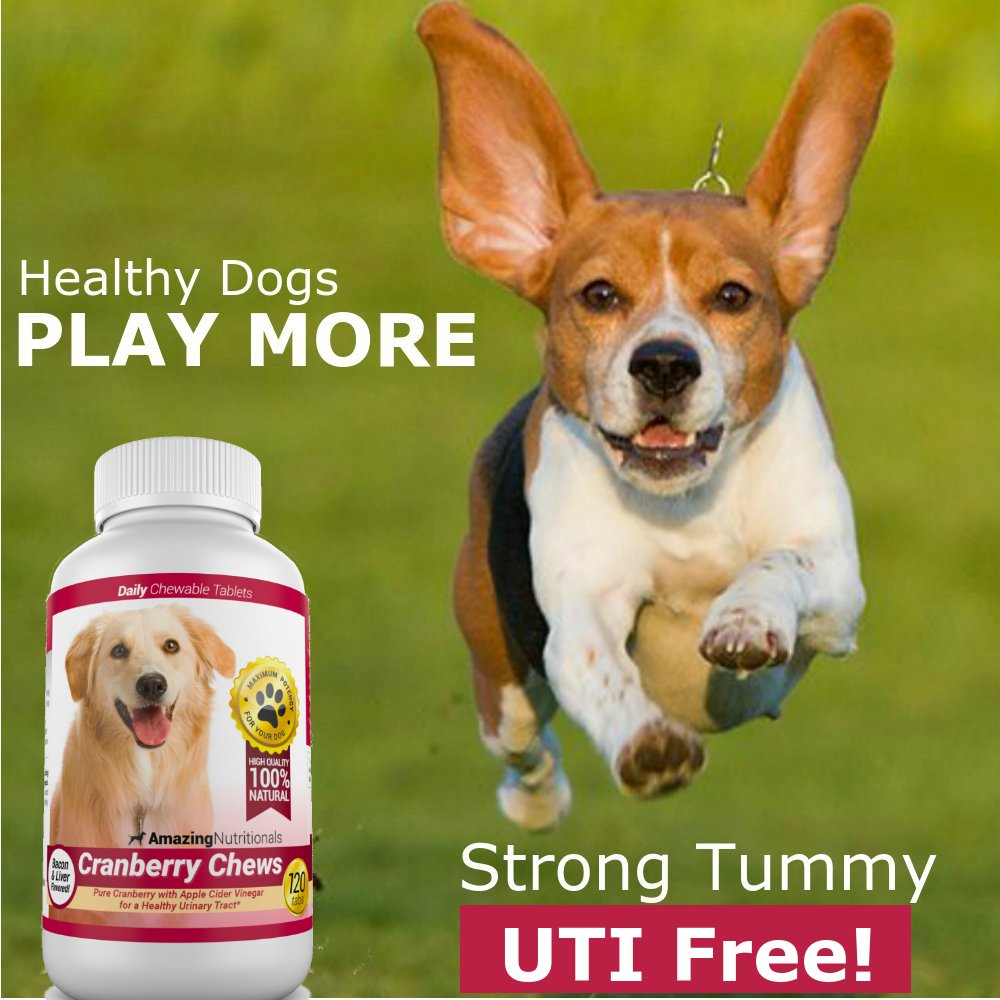 120 Cranberry Chews with Apple Cider Vinegar Bacon Flavor Dog Supplement N6464