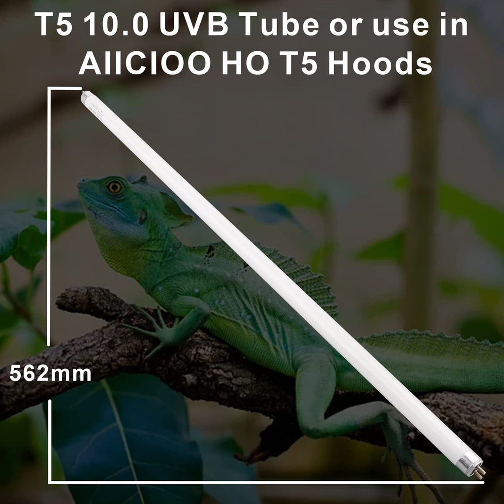 T5 HO 10.0 UVB Fluorescent Lamp 22" 24W M45112