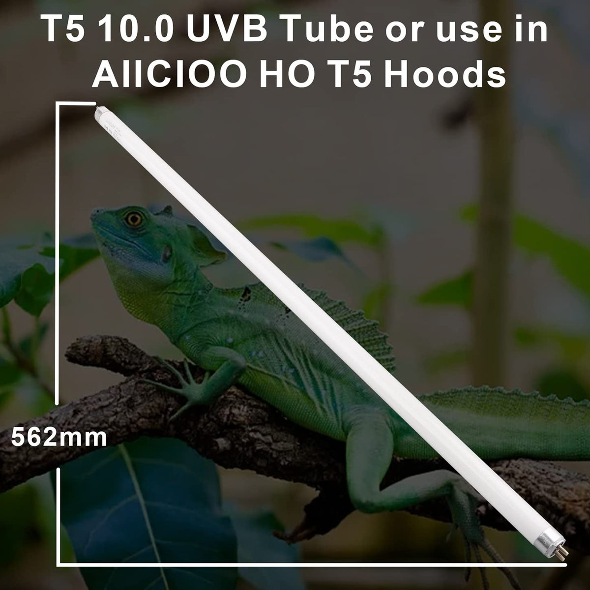 T5 HO 10.0 UVB Fluorescent Lamp 22" 24W M45112