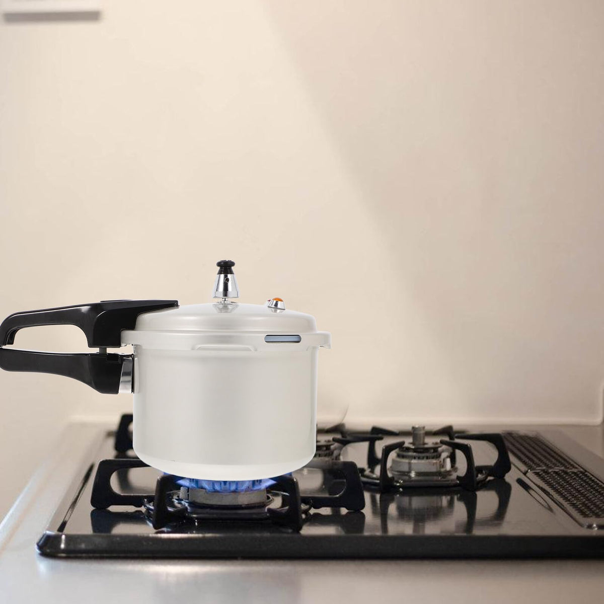 Pressure Cooker 3l Aluminum Pot with Handle Z55640