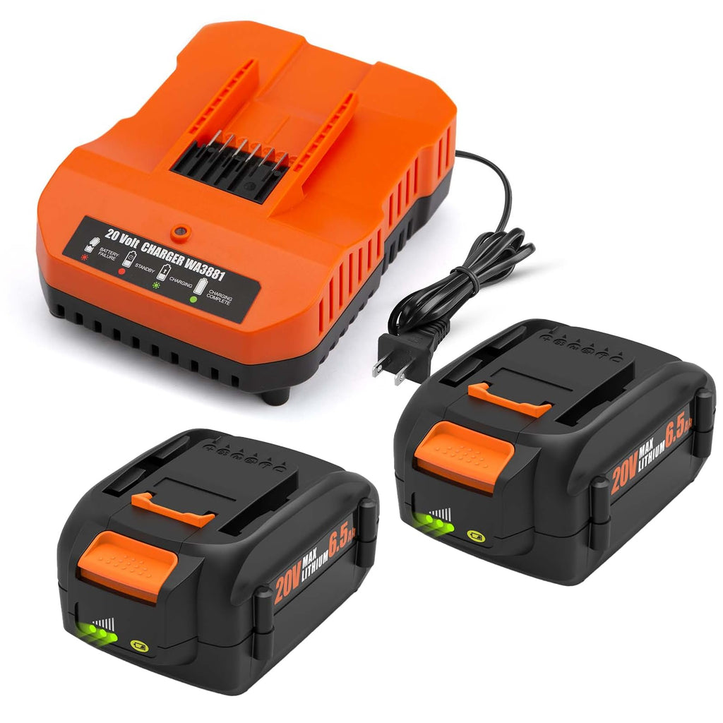 2 Pack 6.5Ah Replacement 20v Lithium Battery and Charger Kit U537973