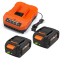 2 Pack 6.5Ah Replacement 20v Lithium Battery and Charger Kit U537973