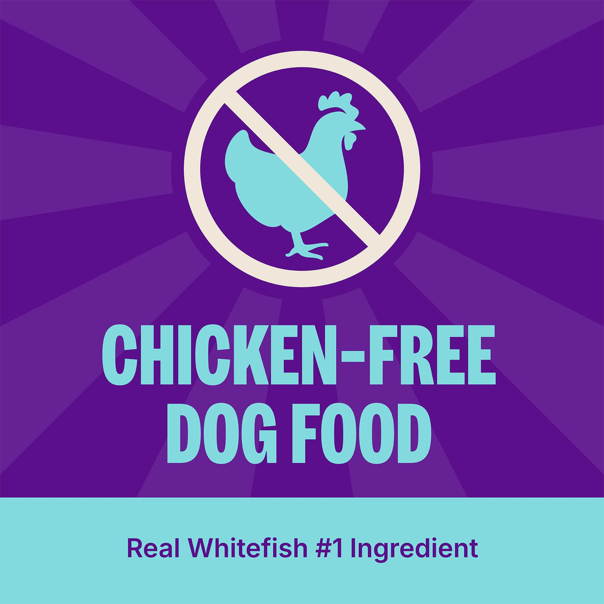 Dry Dog Food Whitefish and Brown Rice 4 lb Bag B944