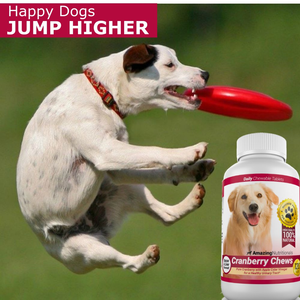 120 Cranberry Chews with Apple Cider Vinegar Bacon Flavor Dog Supplement N6464