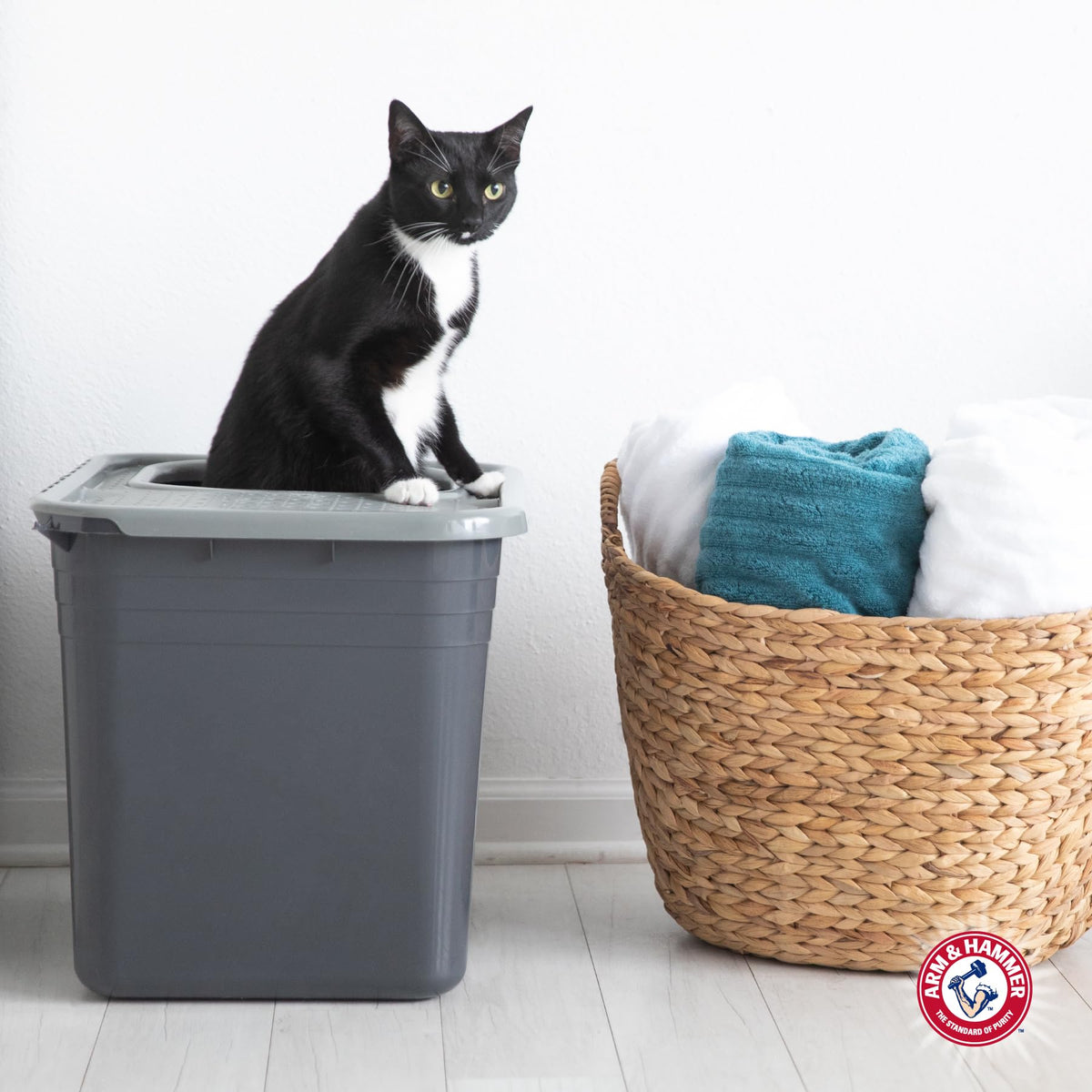 Top Entry Litter Box with Filter L5576