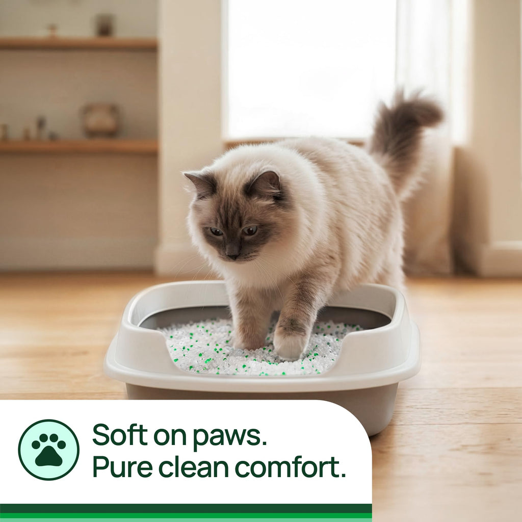Unscented Non-Clumping Crystal Cat Litter, 7 lb F5783