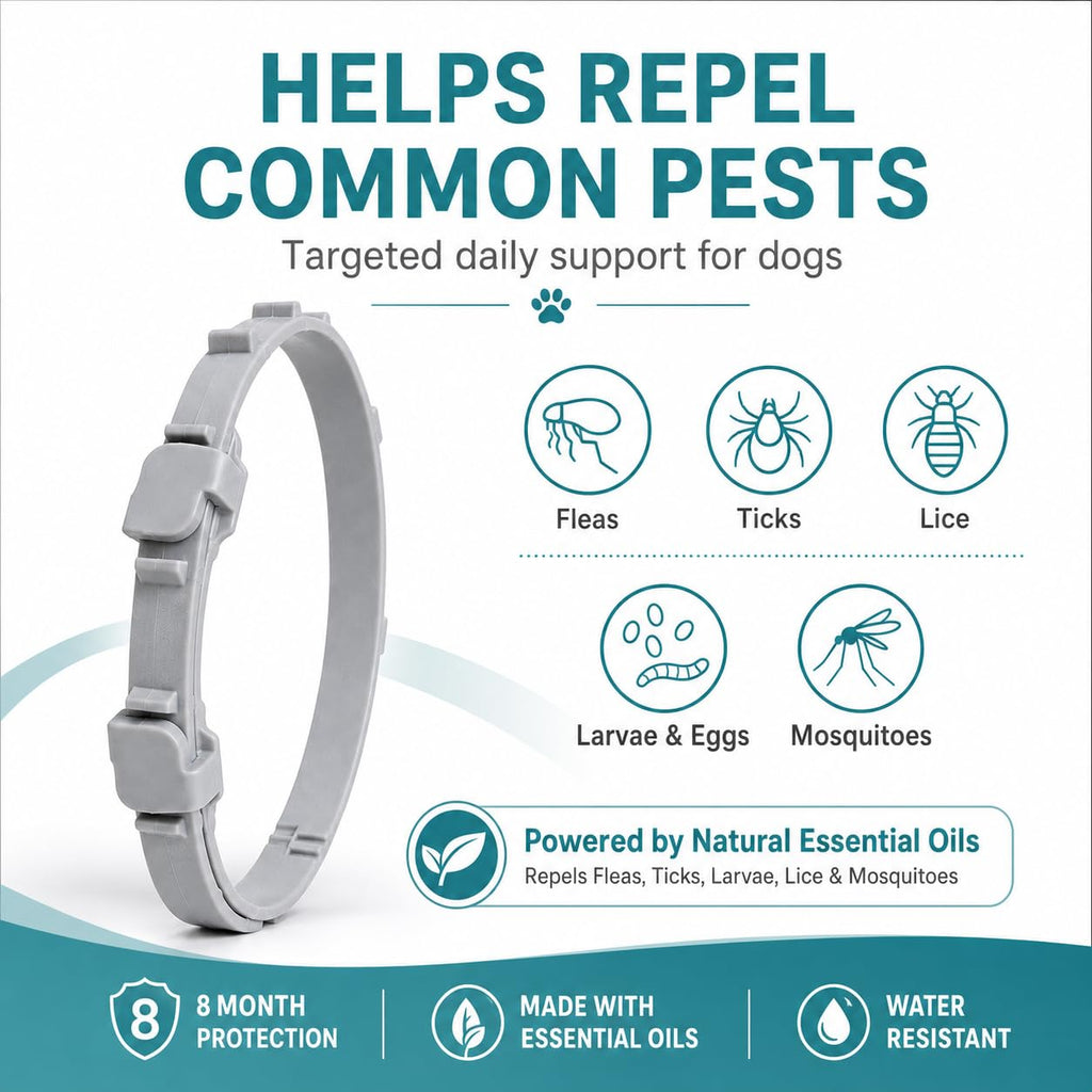 Flea and Tick Collar for Dogs, 4 Pack, Small Dogs Under 18 lbs G22063