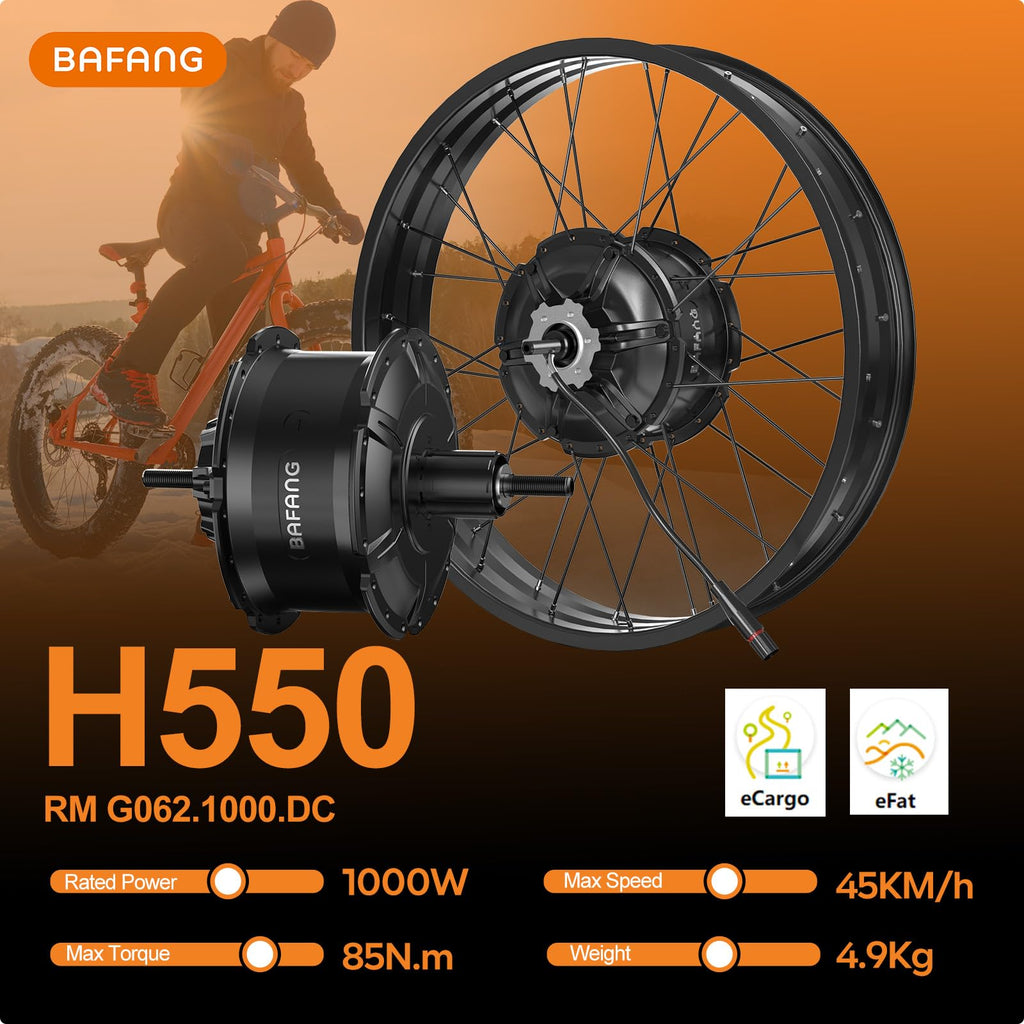 48V 1000W Ebike Conversion Kit with TFT Display and Battery O303