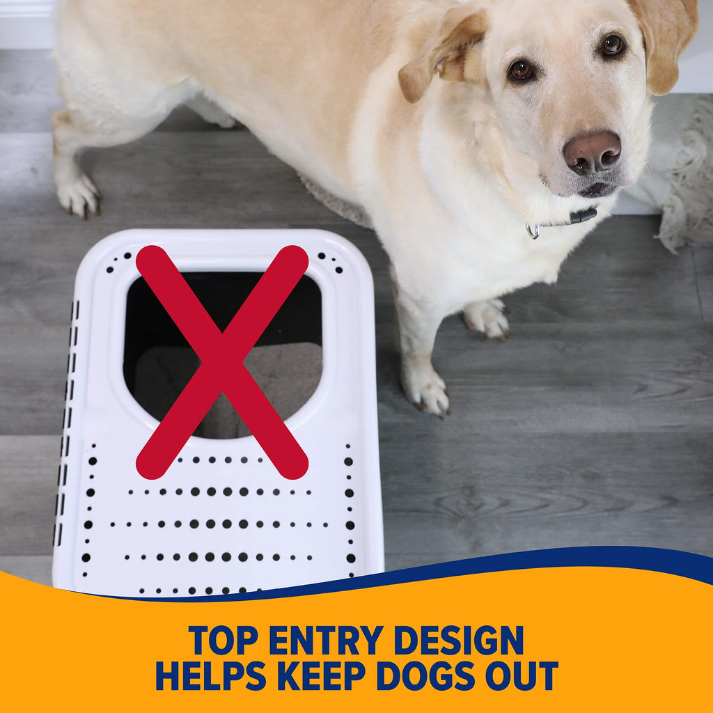 Top Entry Litter Box with Filter L5576