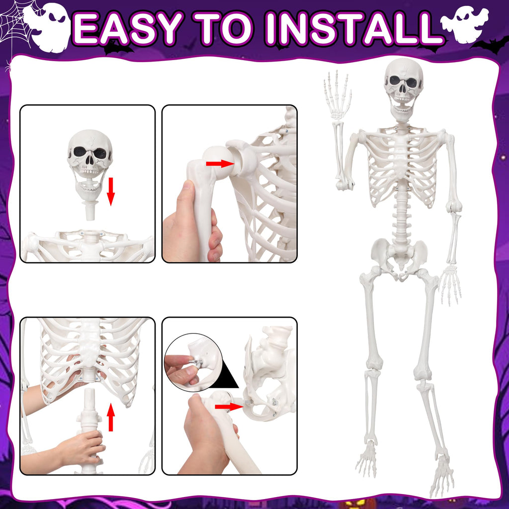 5.4Ft Life Size Skeleton with Movable Joints N672