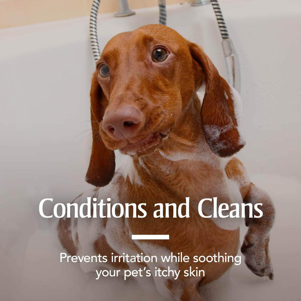 Oatmeal Flea & Tick Shampoo Dogs 18oz C18028