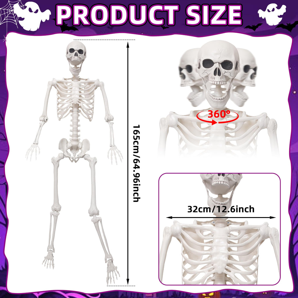 5.4Ft Life Size Skeleton with Movable Joints N672
