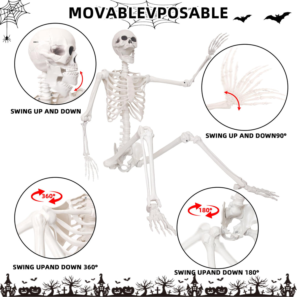 5.4Ft Life Size Skeleton with Movable Joints N672