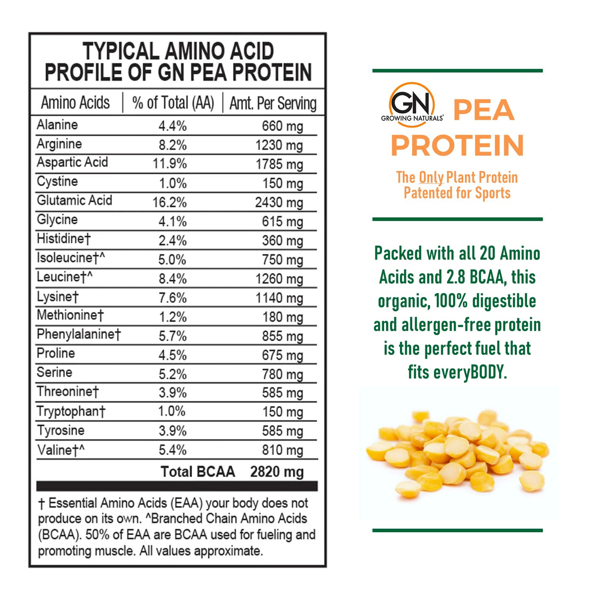 Raw Pea Protein Powder, Vegan Plant Based, BCAA, Low-Carb, Low-Sugar, Unflavored, 2 Pound D757