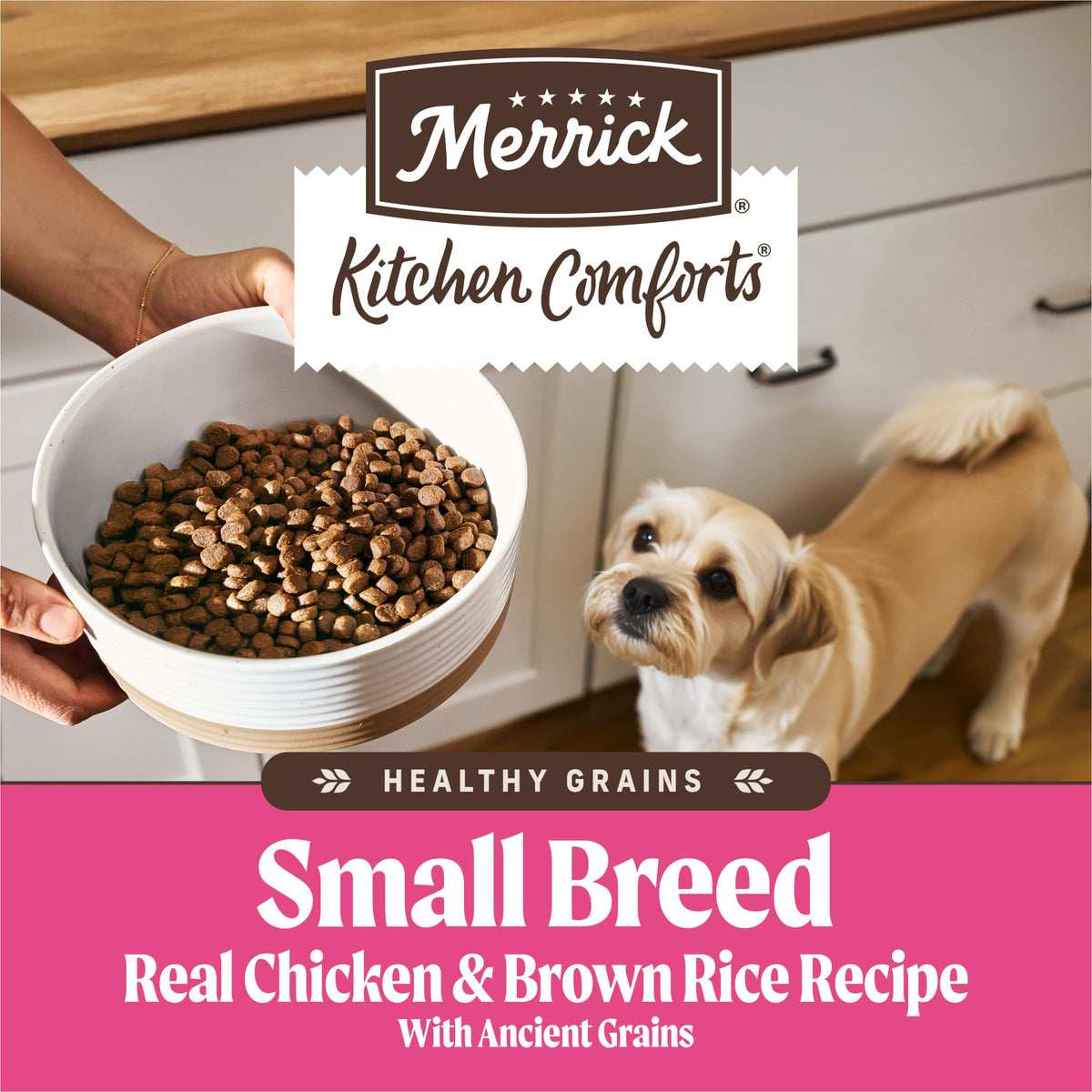 Dry Dog Food for Small Dogs 4 lb Bag B430753