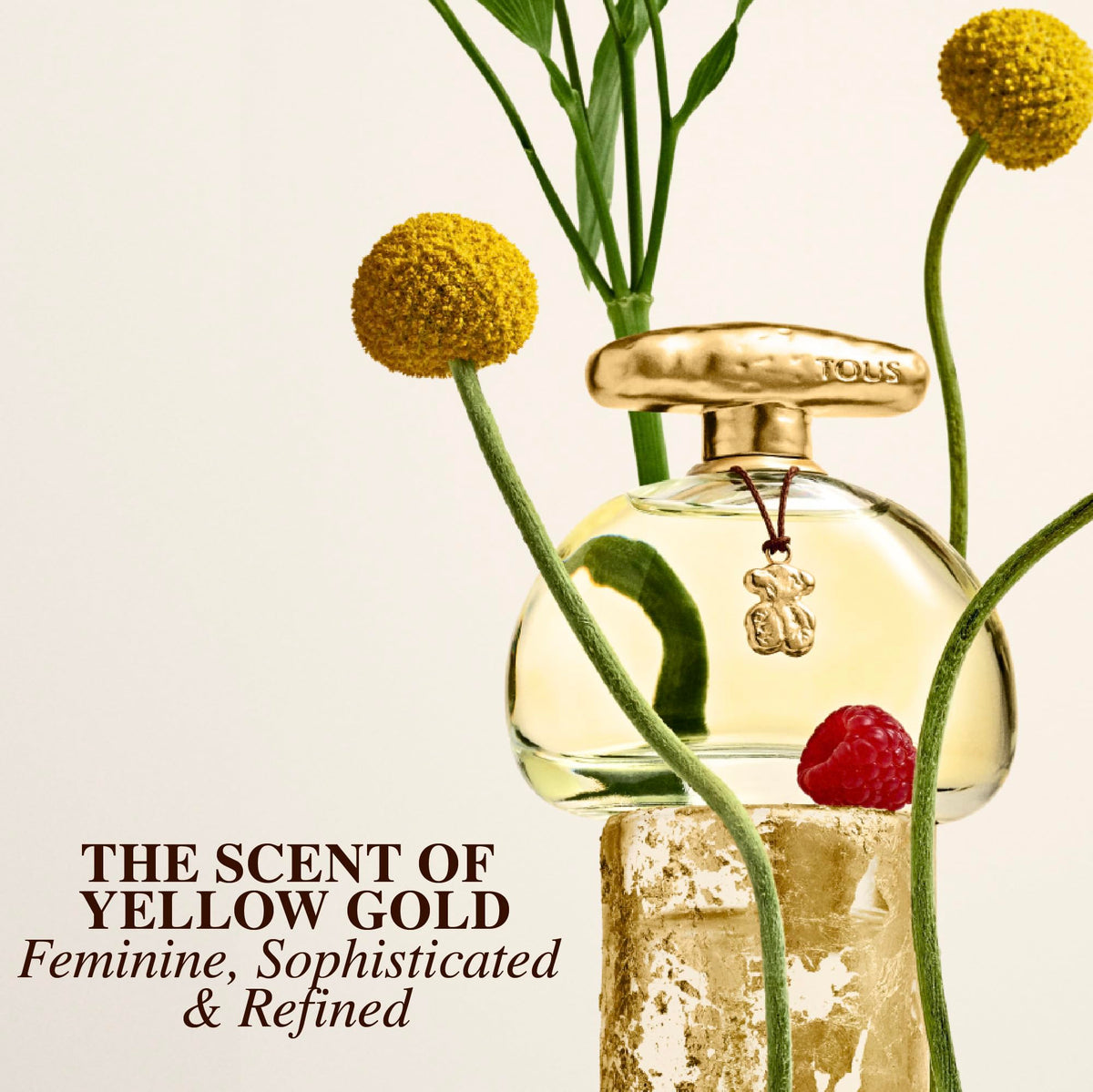 Eau de Toilette Floral Fruity Fragrance 3.4 Fl Oz S191