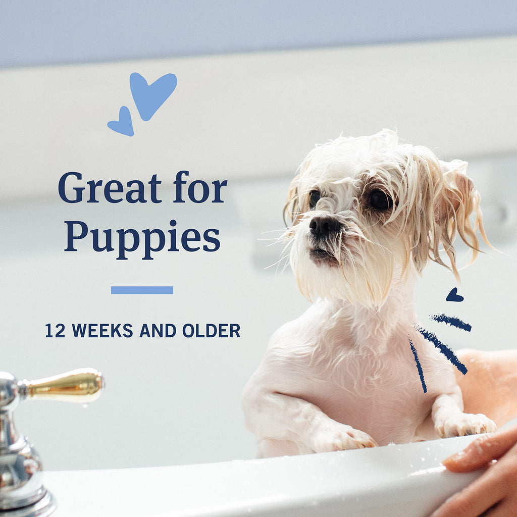 Oatmeal Flea & Tick Shampoo Dogs 18oz C18028
