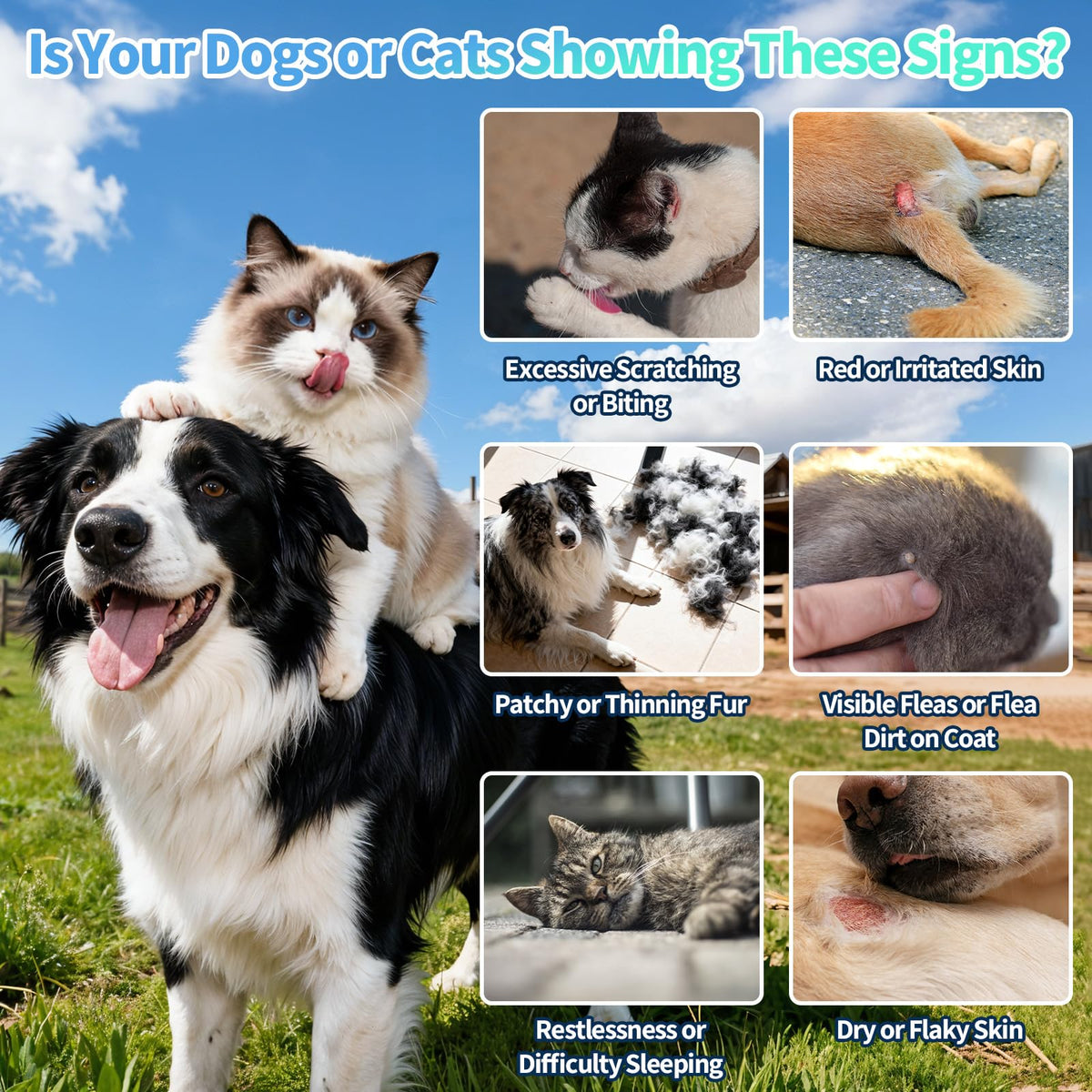 Oral Flea and Tick Prevention Drops 2 fl oz N413