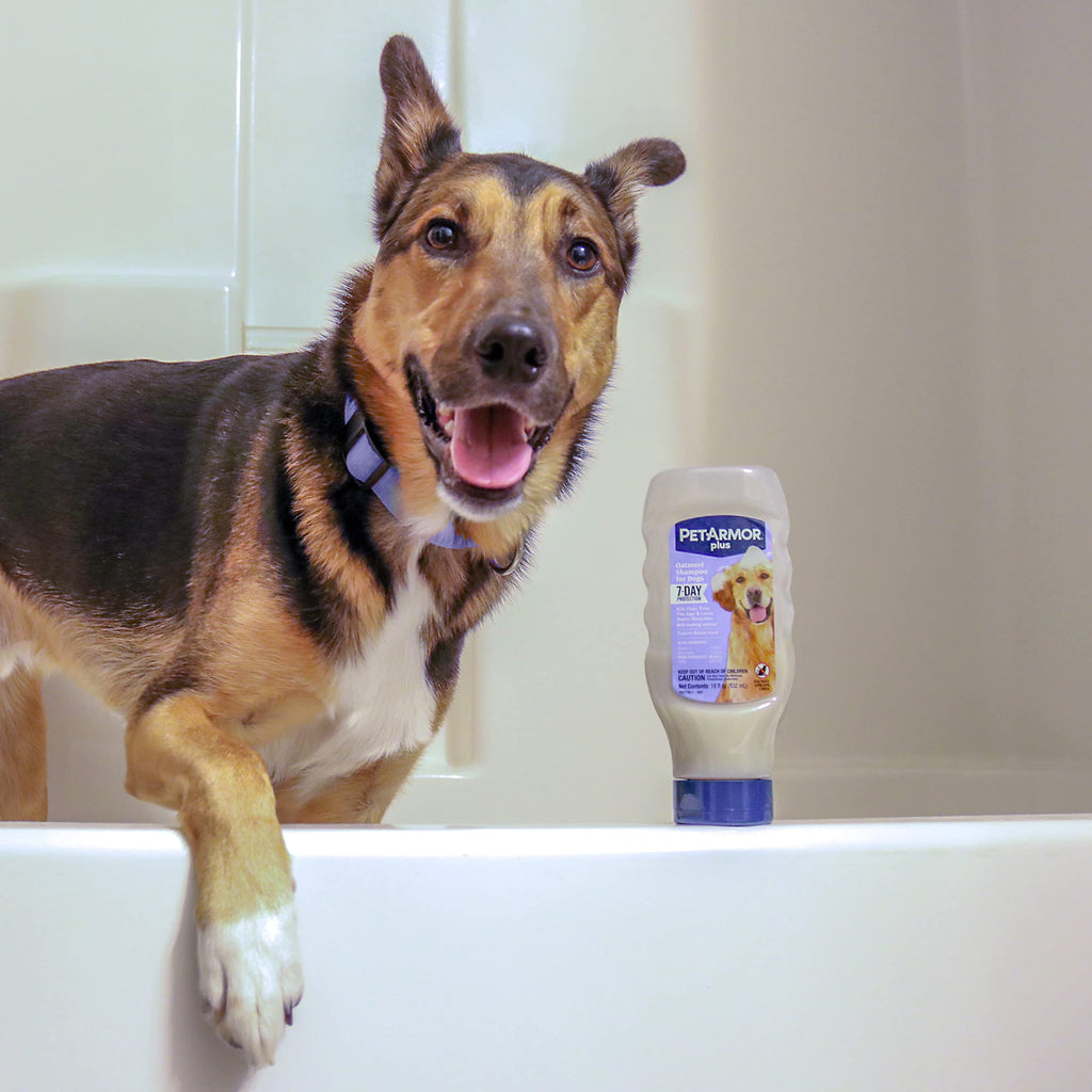 Oatmeal Flea & Tick Shampoo Dogs 18oz C18028