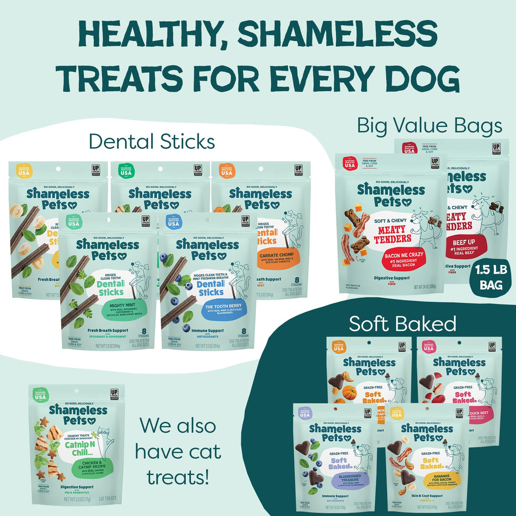 Soft Dog Treats 8oz P386921