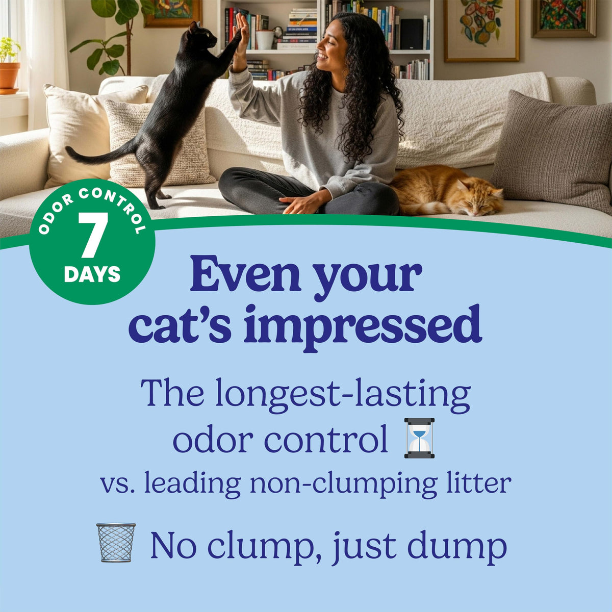 Non-Clumping Cat Litter with Odor Control, 35 lb. Bag U63141