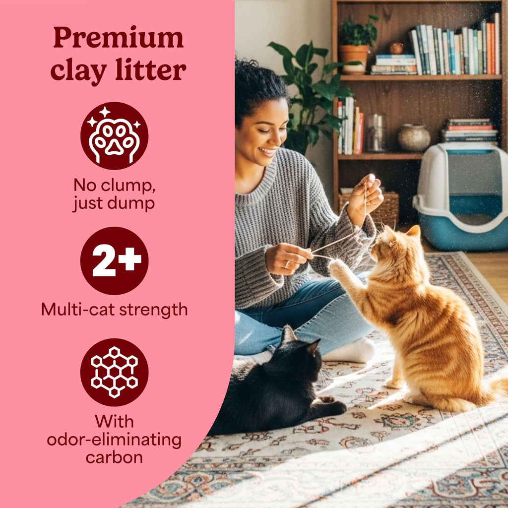 Non-Clumping Cat Litter with Odor Control, 35 lb. Bag U63141