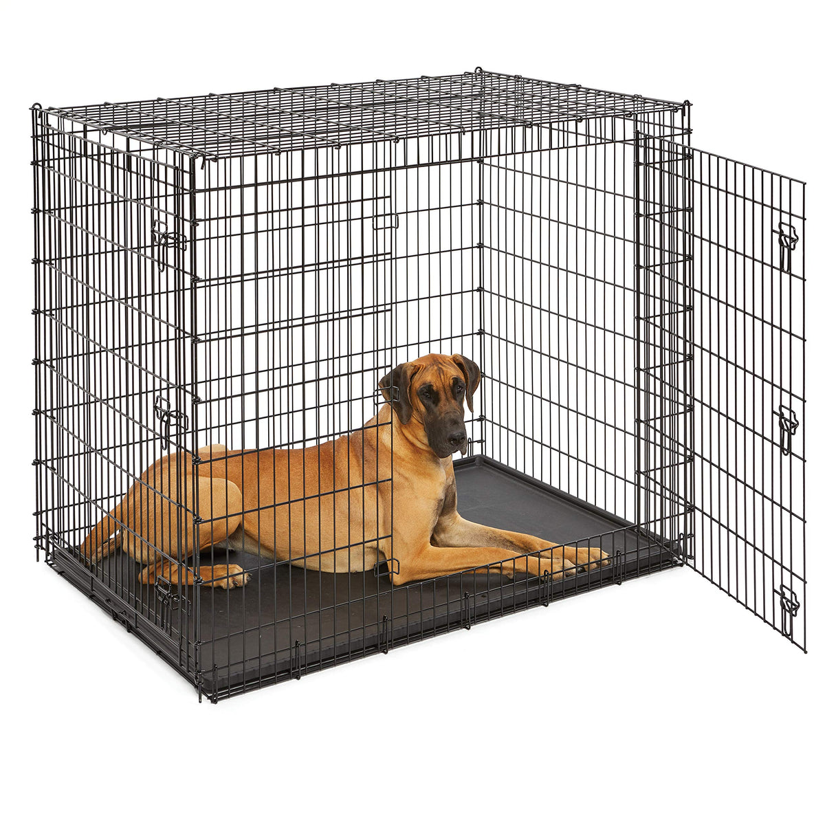54-Inch Double Door Crate N123044