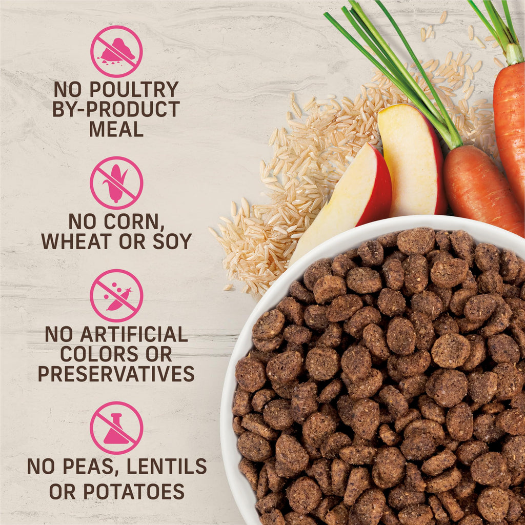 Dry Dog Food for Small Dogs 4 lb Bag B430753