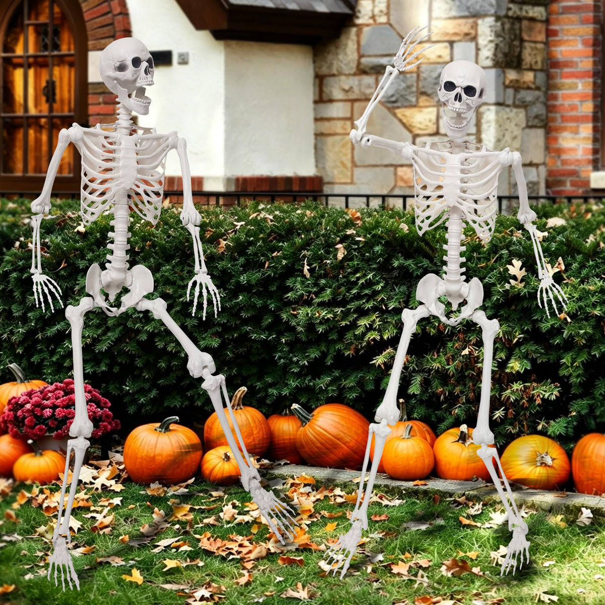 5.4Ft Life Size Skeleton with Movable Joints N672