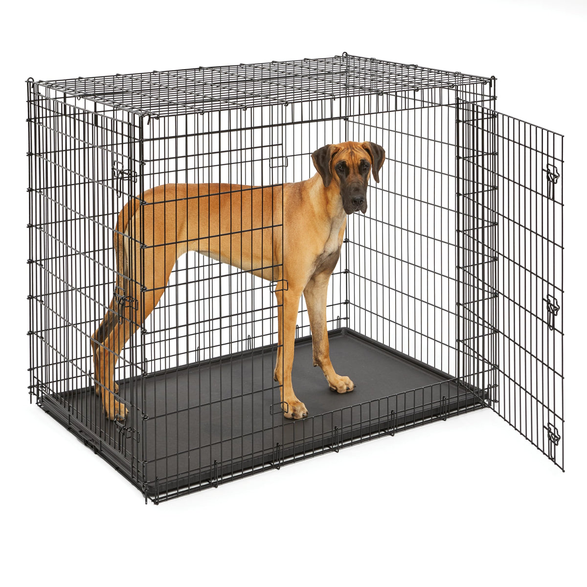 54-Inch Double Door Crate N123044